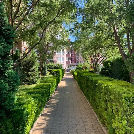 Saint Elena ساني بيتش